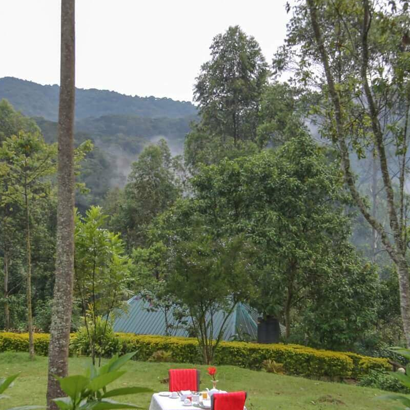 Gorilla Safari Lodge