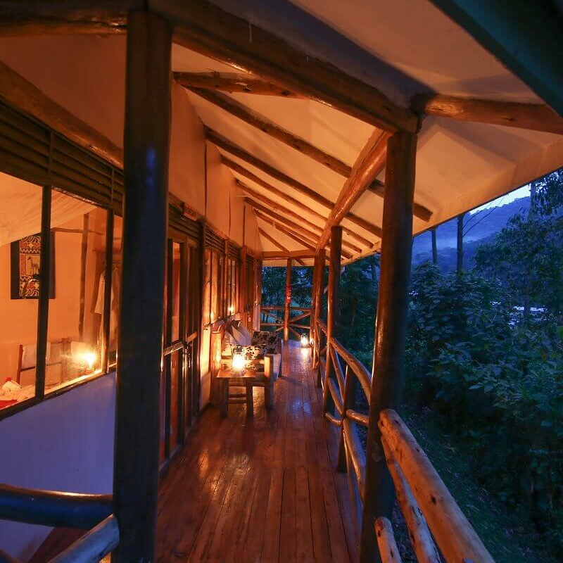 Gorilla Safari Lodge