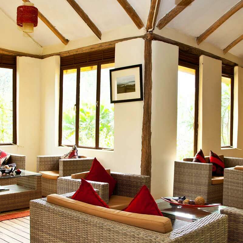 Gorilla Safari Lodge