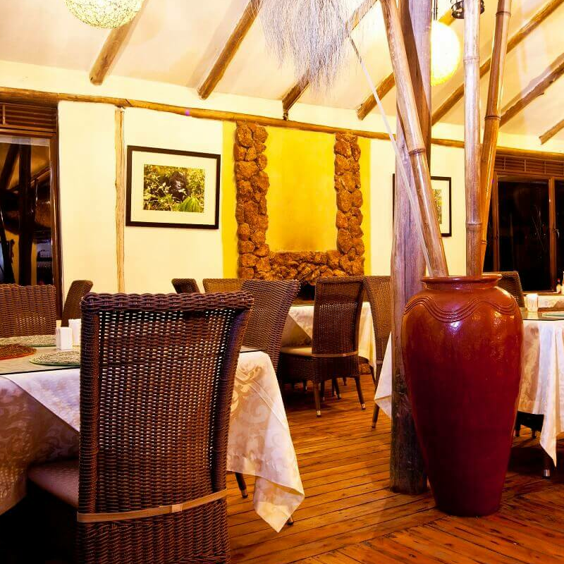 Gorilla Safari Lodge