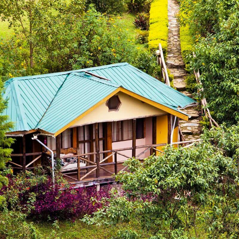 Gorilla Safari Lodge
