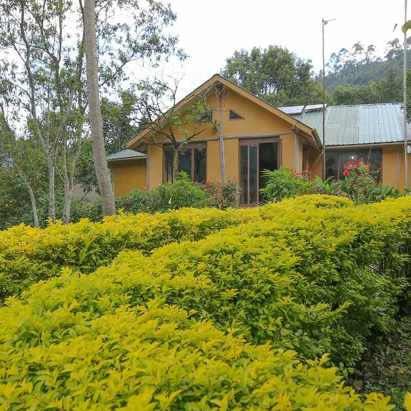 Gorilla Safari Lodge