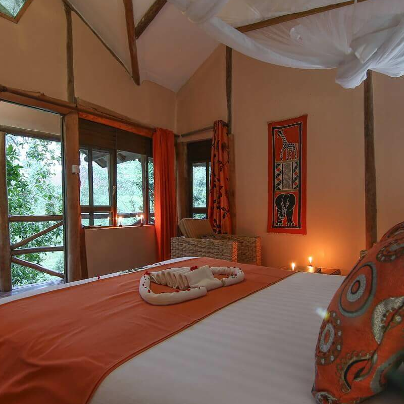 Gorilla Safari Lodge