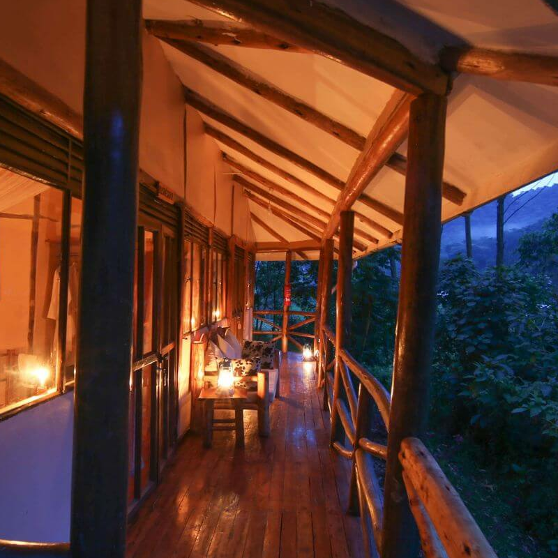 Gorilla Safari Lodge