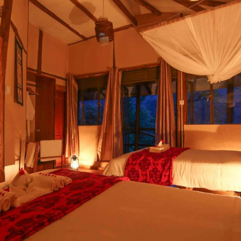 Gorilla Safari Lodge