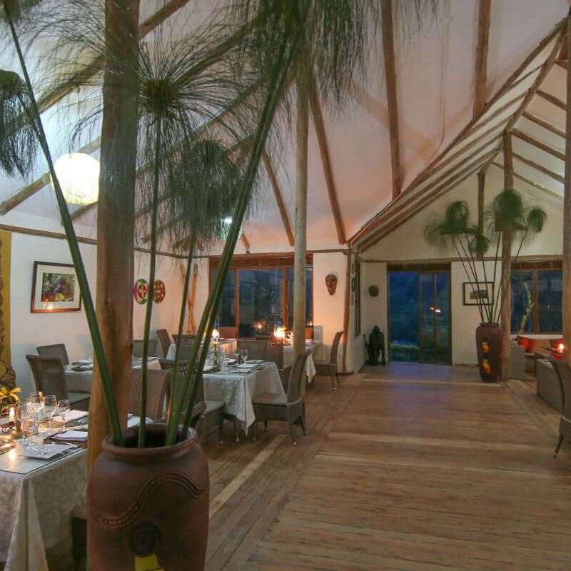 Gorilla Safari Lodge