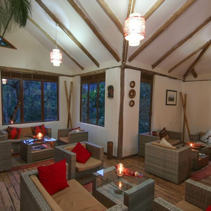 Gorilla Safari Lodge