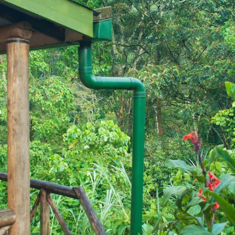 Gorilla Valley Lodge