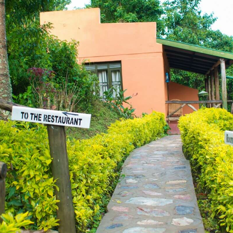 Gorilla Valley Lodge