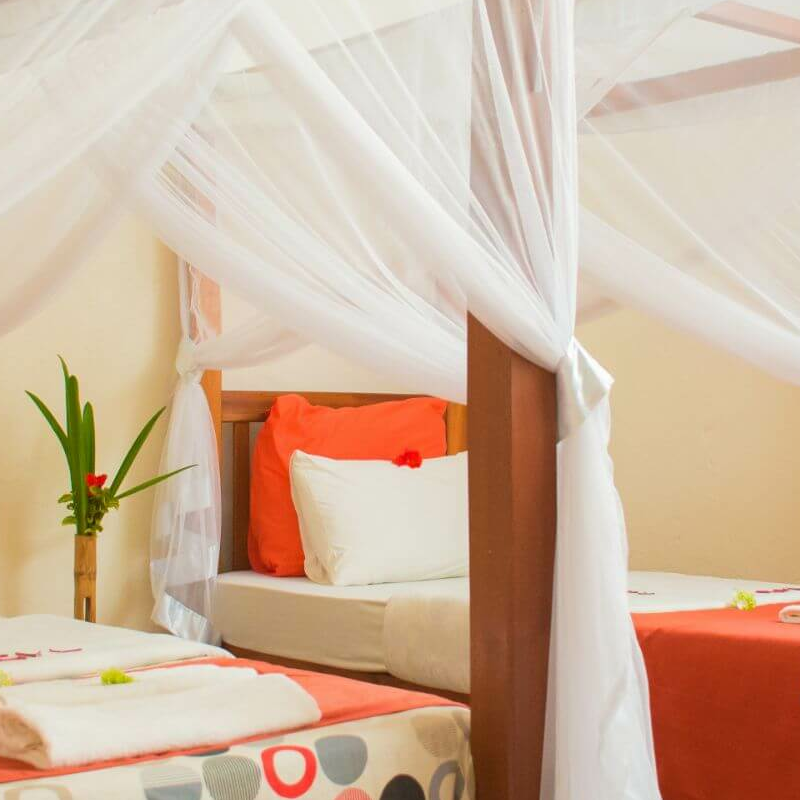 Gorilla Valley Lodge