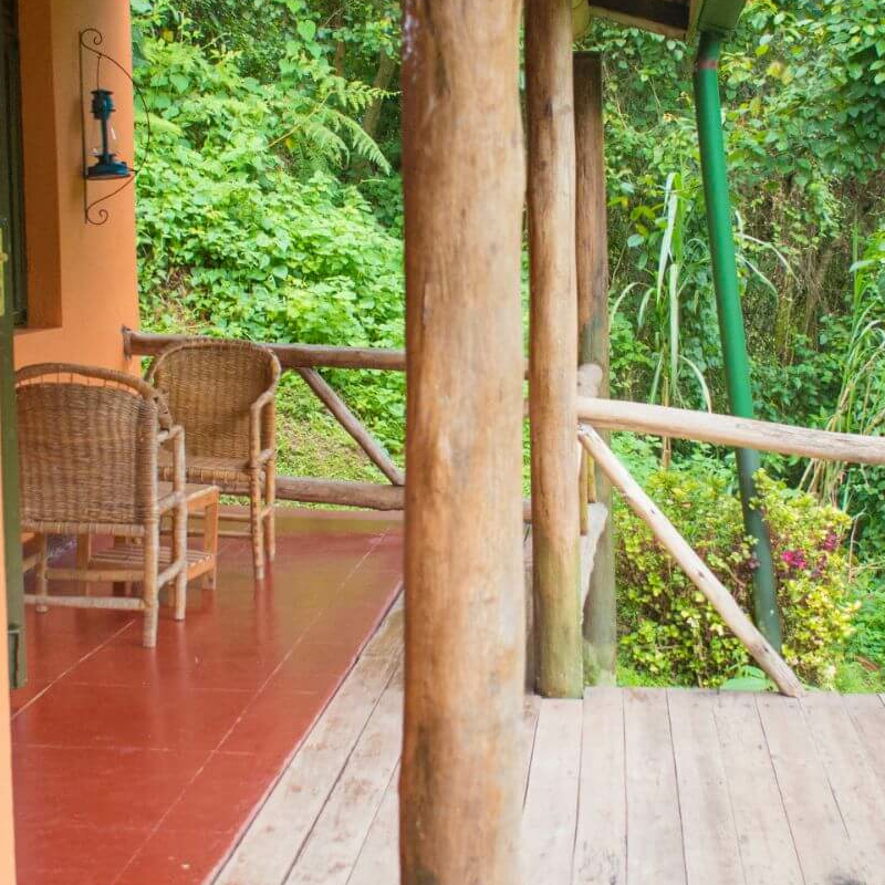 Gorilla Valley Lodge