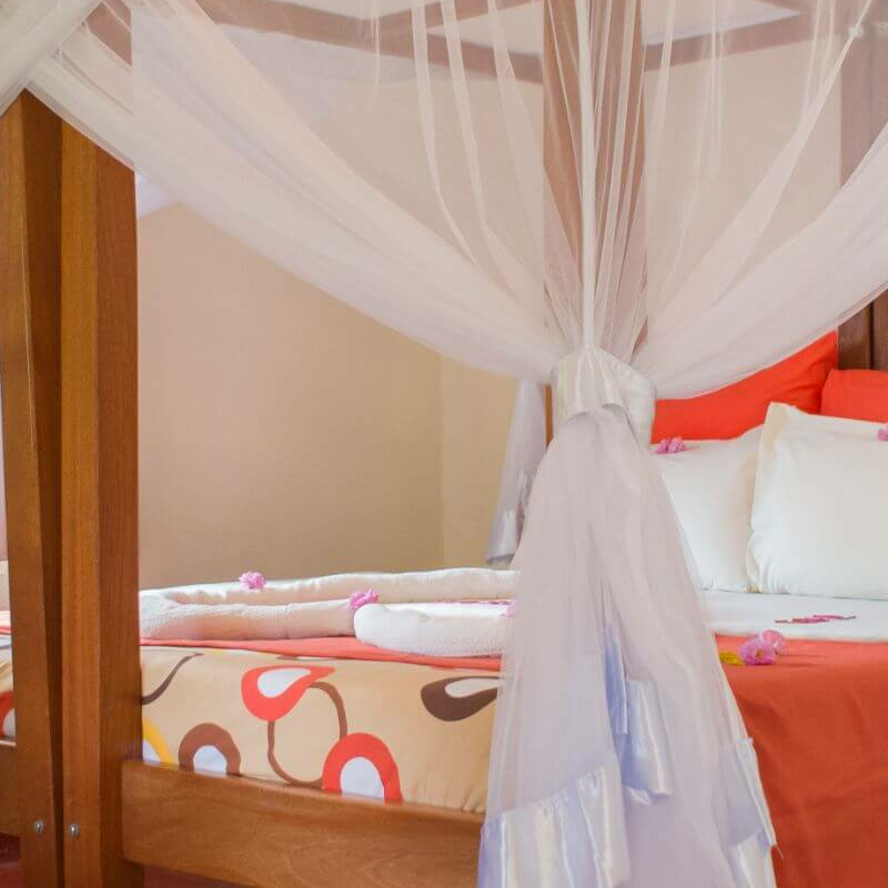Gorilla Valley Lodge