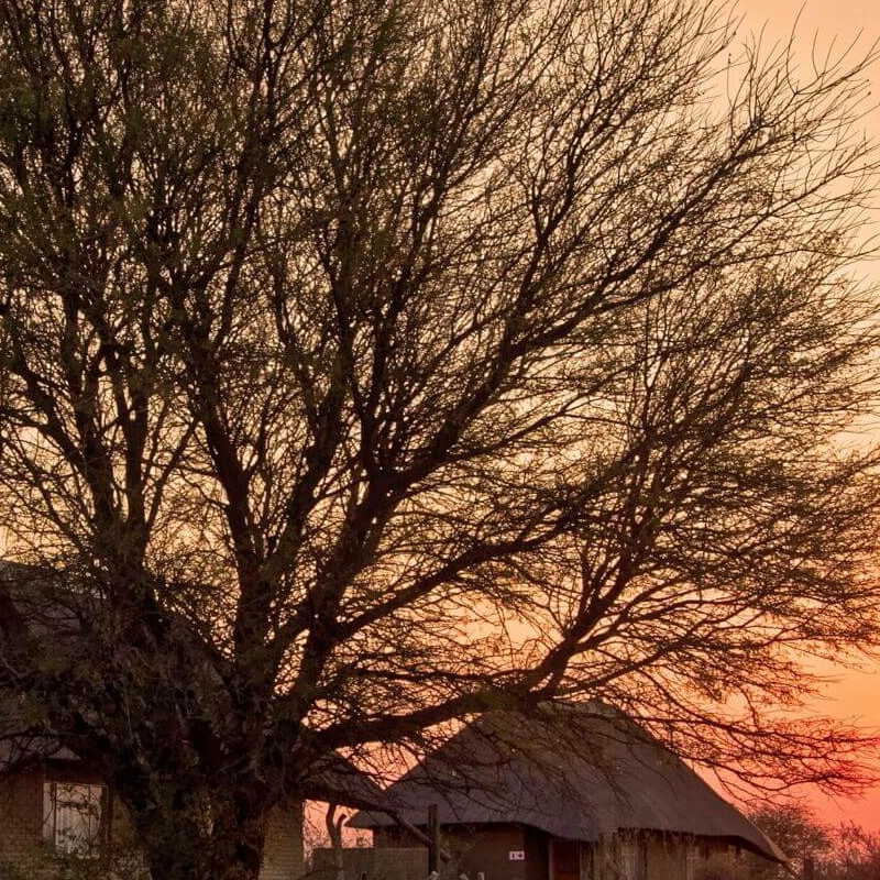 Grasslands Bushman Lodge