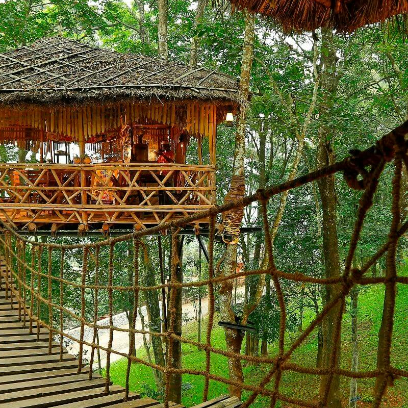Greenwoods Resort
