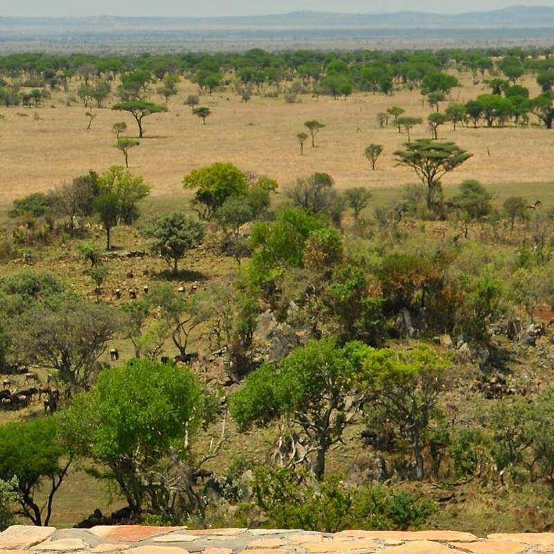 Grumeti Hills