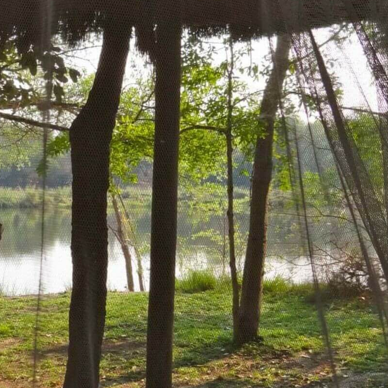 Guma Lagoon Camp