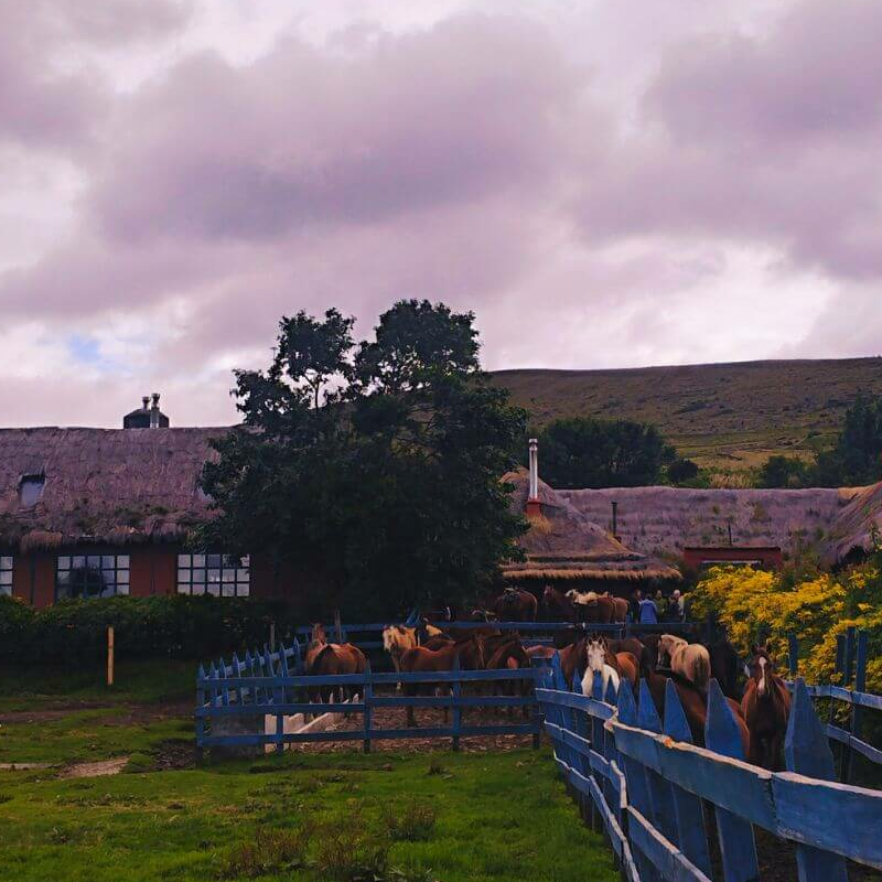 Hacienda el Porvenir