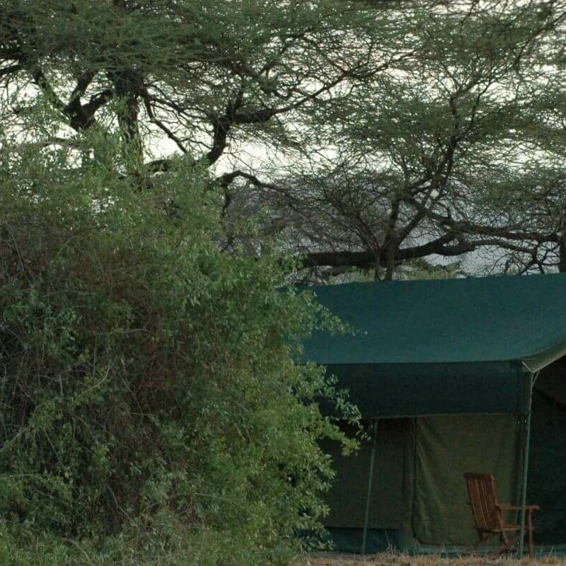 Halisi Natron Camp