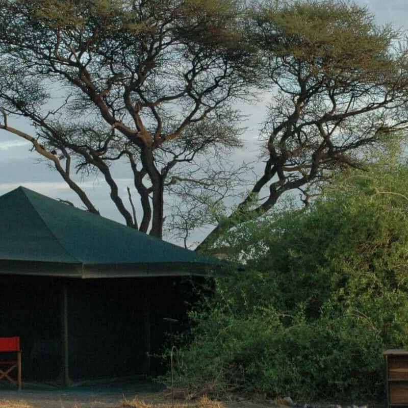 Halisi Natron Camp