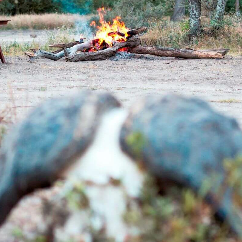 Halisi Ndutu Camp