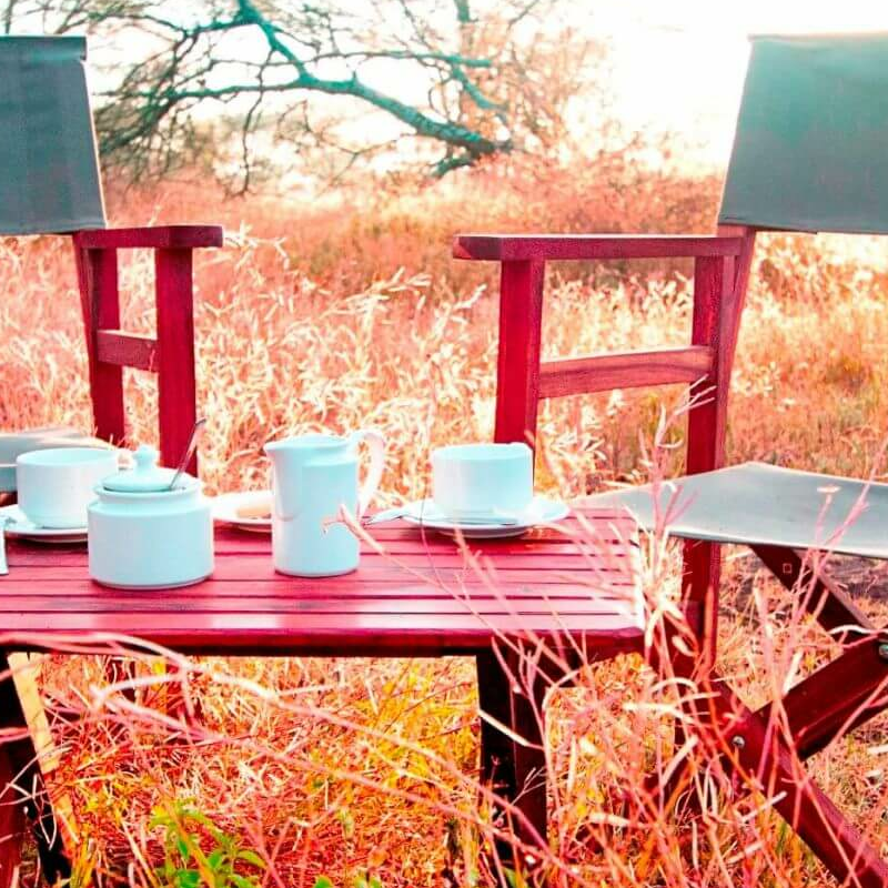 Halisi Ndutu Camp