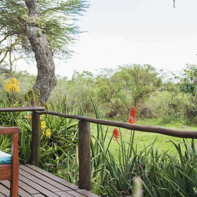 Hatari Lodge