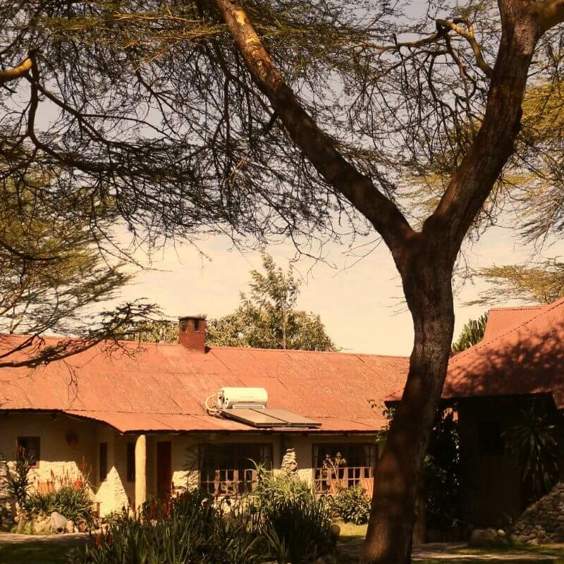 Hatari Lodge