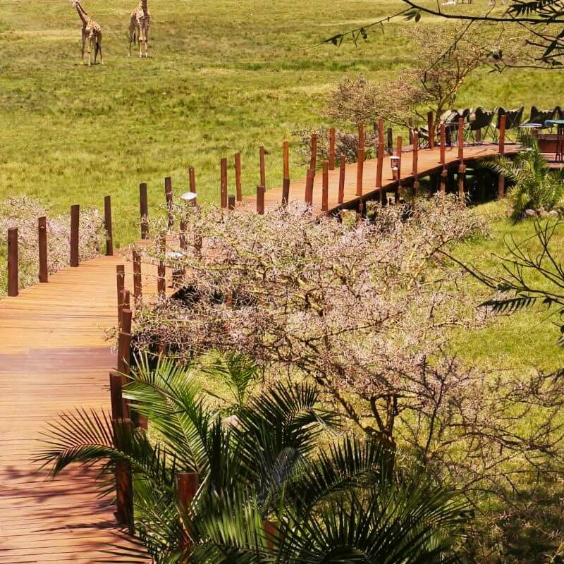Hatari Lodge
