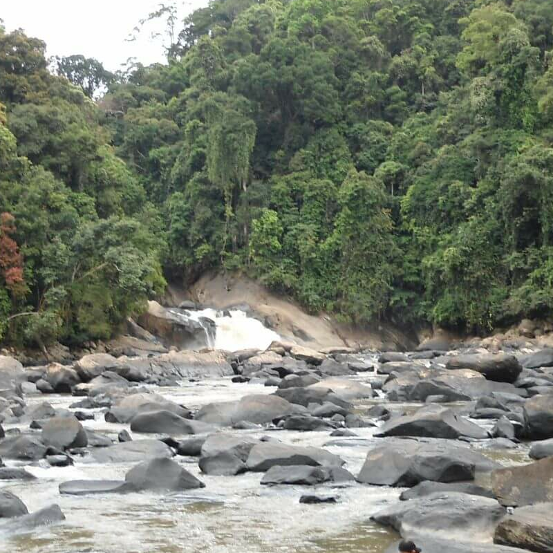 Heart of Borneo