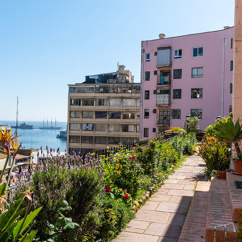Hotel Ayca la Flora
