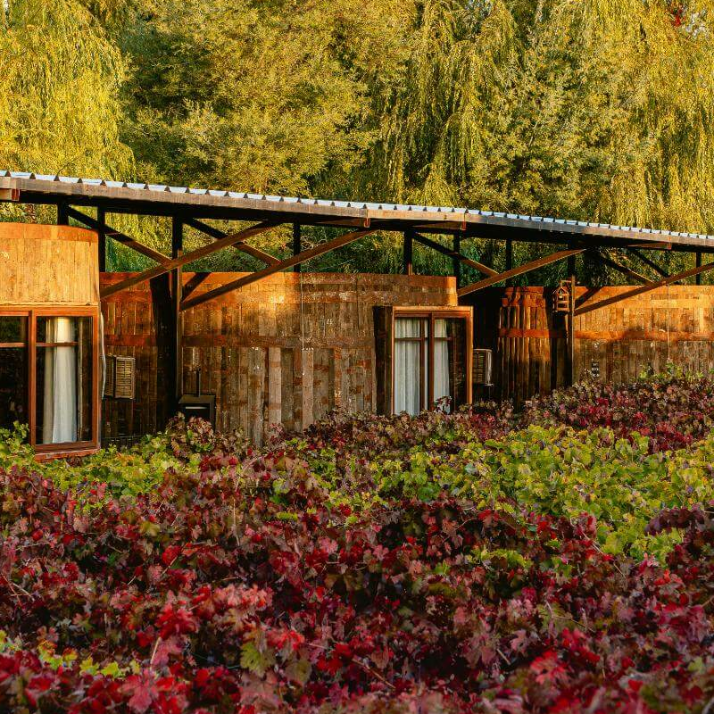 Hotel Cava Colchagua