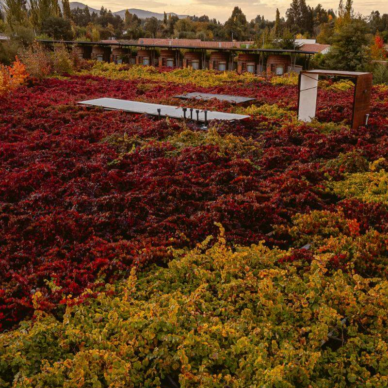 Hotel Cava Colchagua