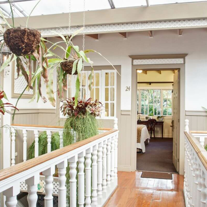 Hotel Grano de Oro