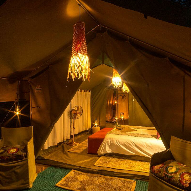 Hwange Bush Camp