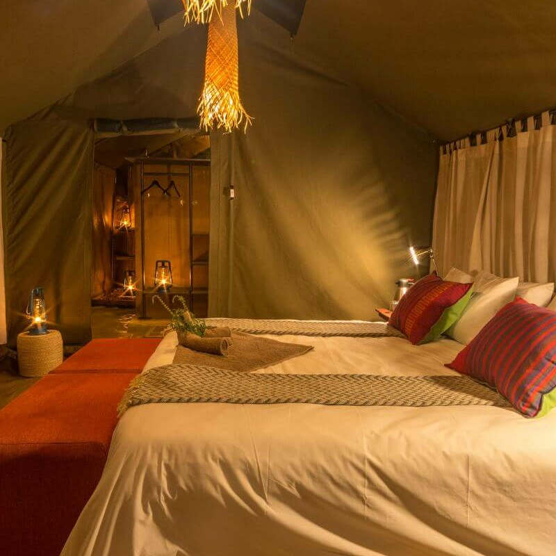 Hwange Bush Camp