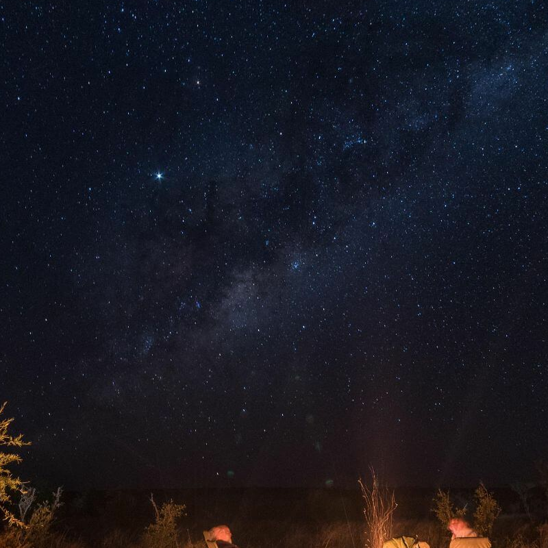 Hwange Bush Camp
