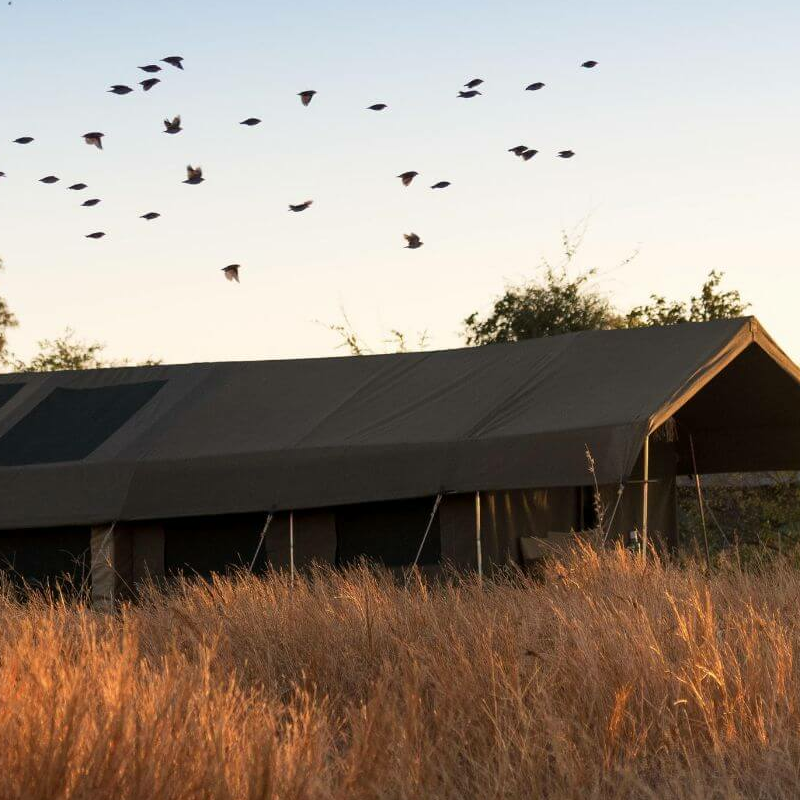 Hwange Bush Camp