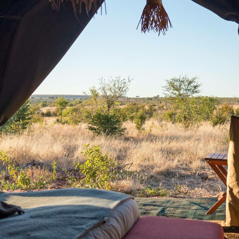Hwange Bush Camp