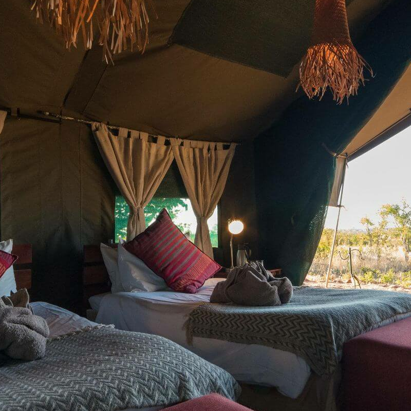 Hwange Bush Camp