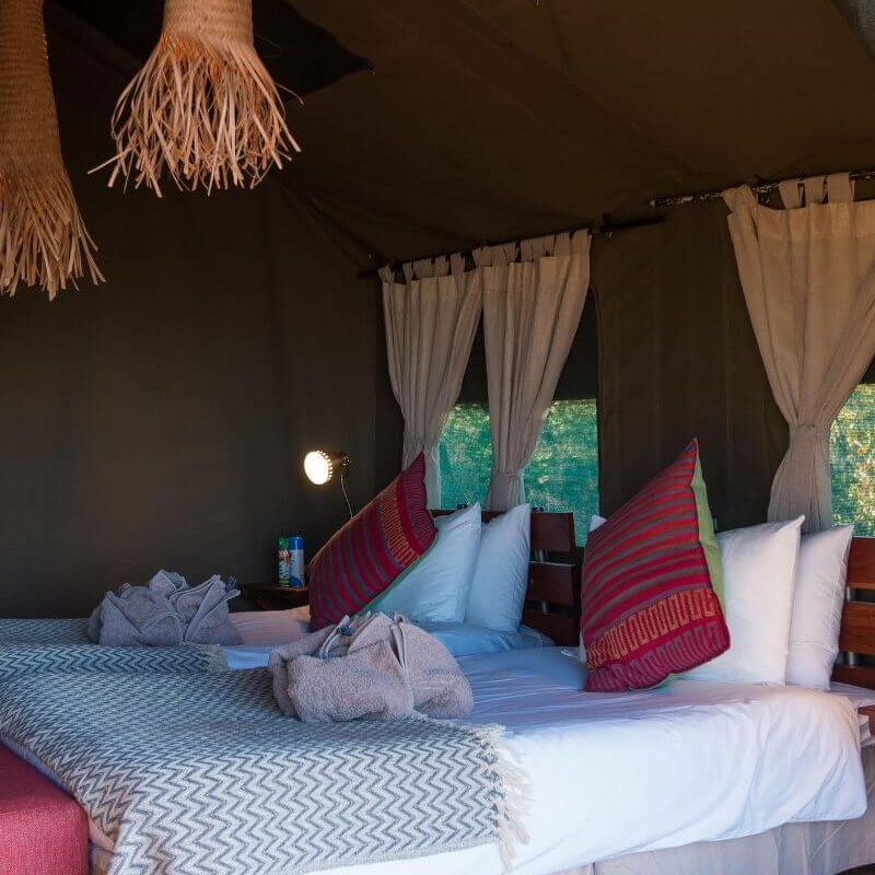 Hwange Bush Camp