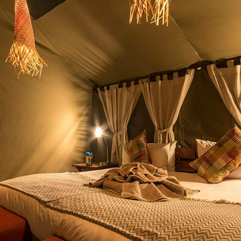 Hwange Bush Camp
