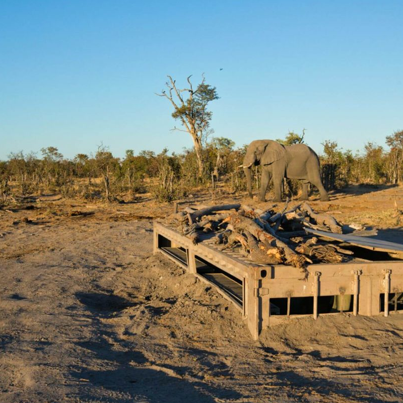 Hyena Pan Camp