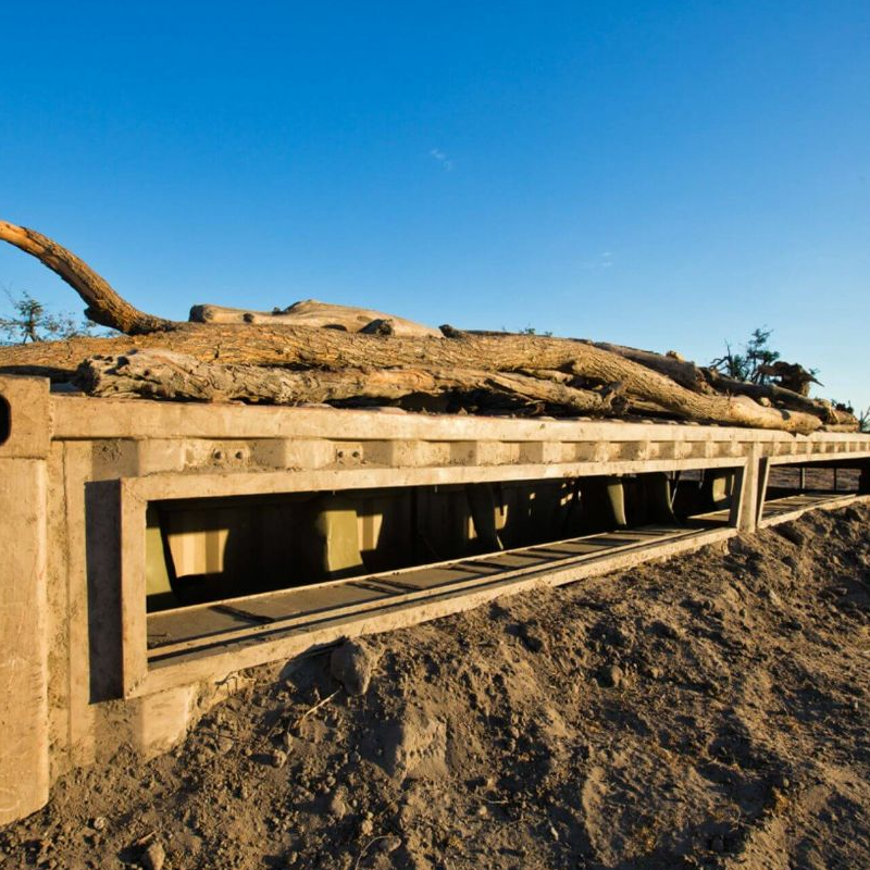 Hyena Pan Camp