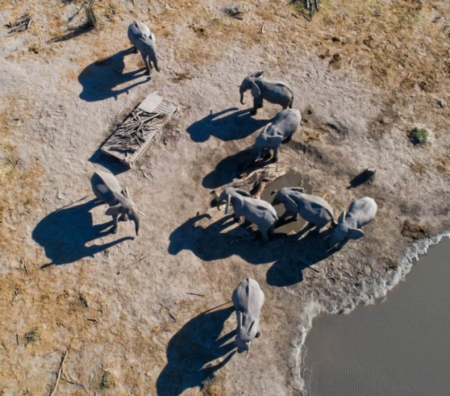 Hyena Pan Camp