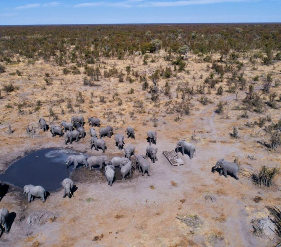 Hyena Pan Camp