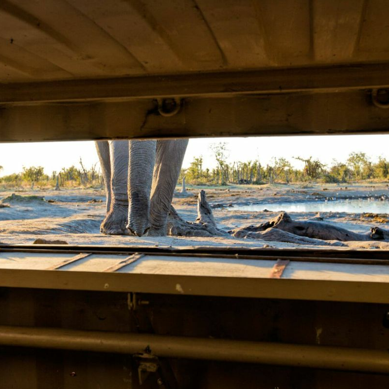 Hyena Pan Camp