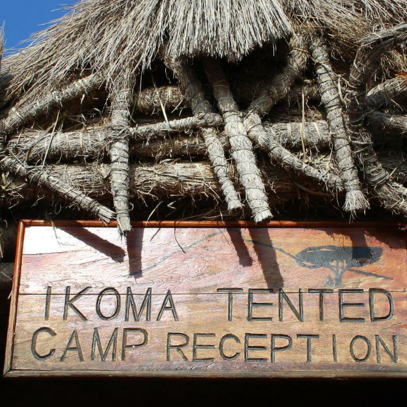 Ikoma Tented Camp
