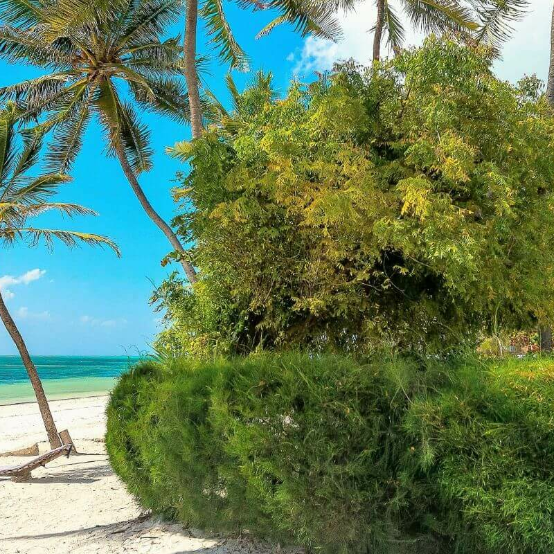 Indigo Beach Zanzibar