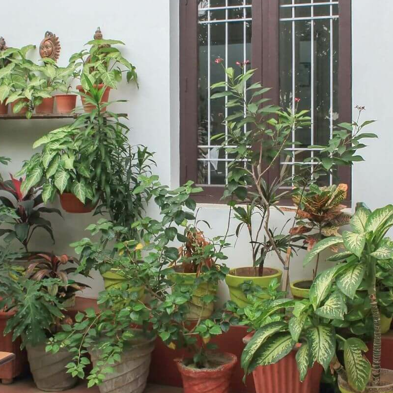 Iora Guesthouse