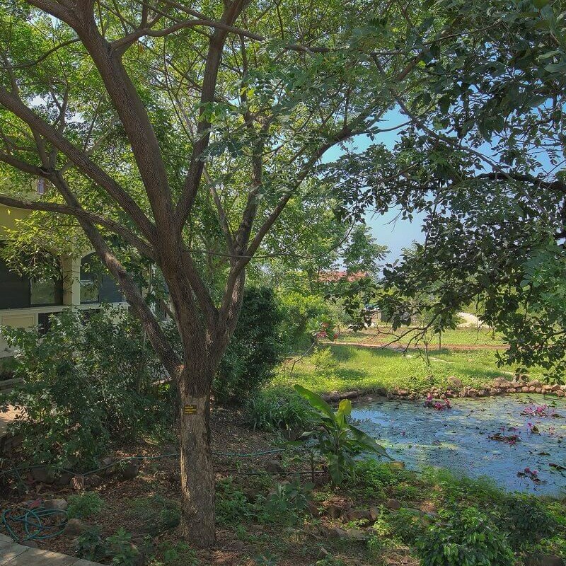 Irai Safari Retreat